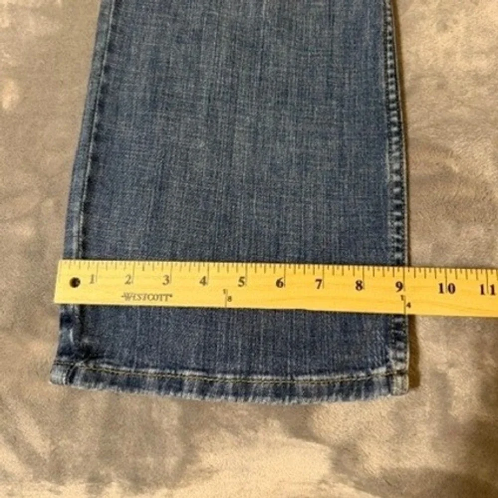 Levis levis 569